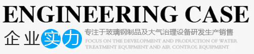 企业实力